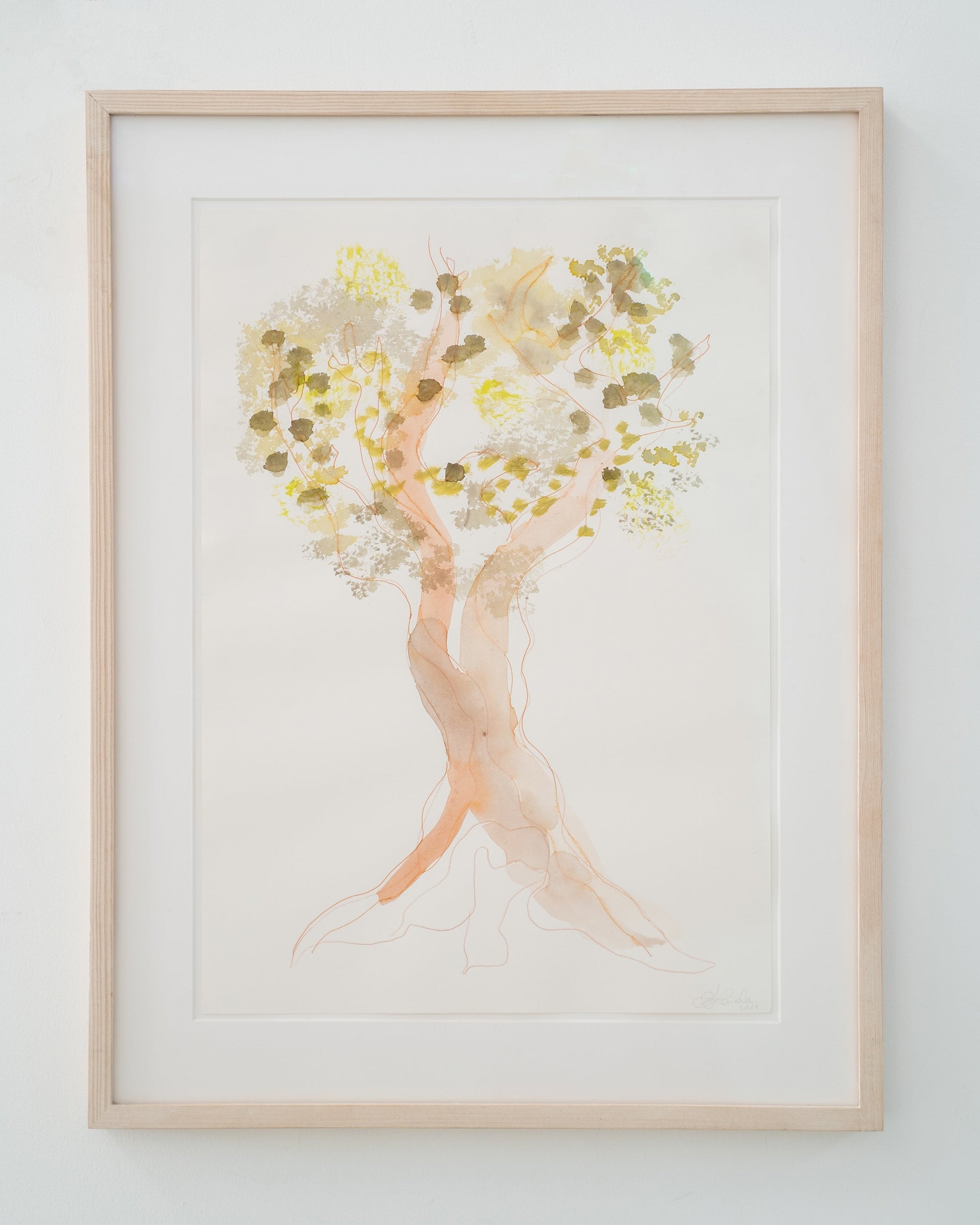 The olive grove / 2011