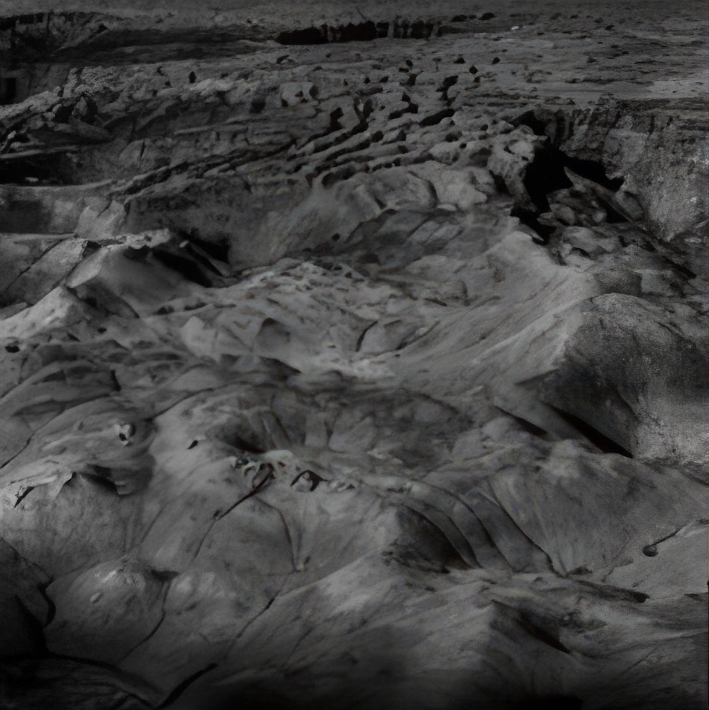 The Clearing / 2024 e. 1/5