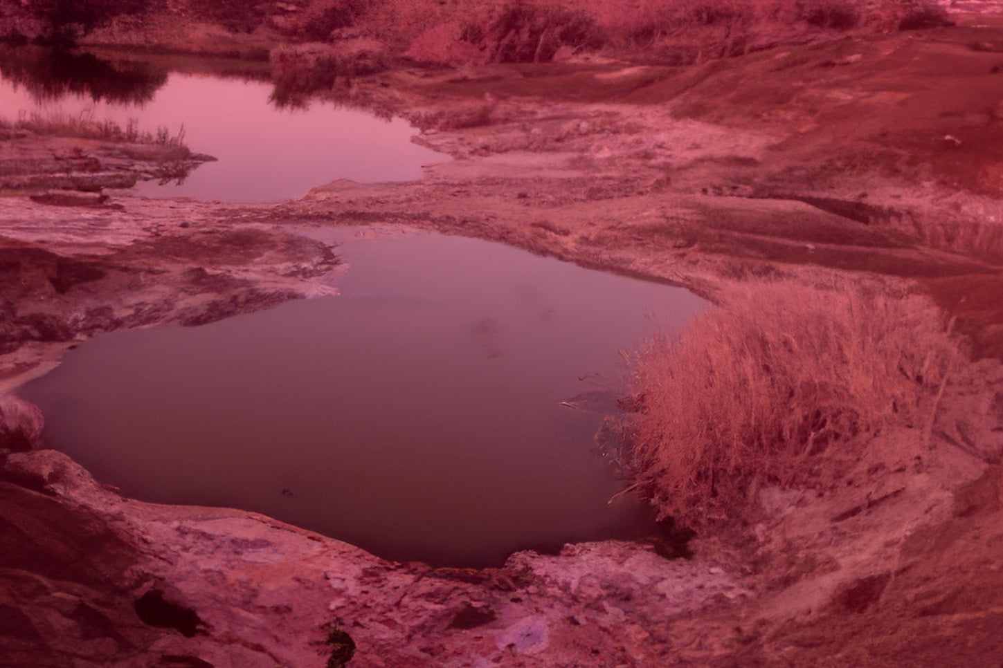 Red Zone / 2024 e. 1/5