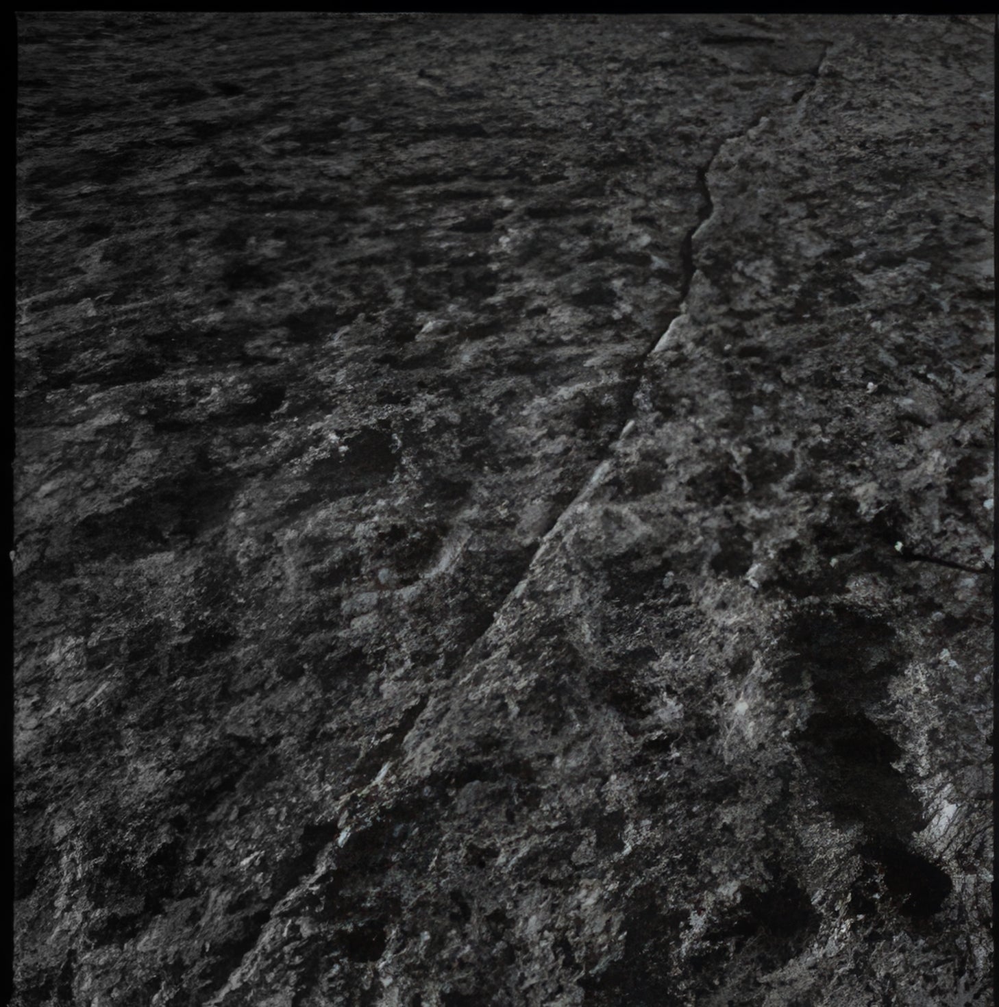 Fault Line / 2024 e. 1/5